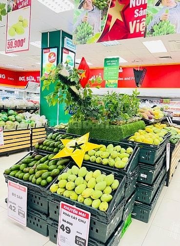 🔴GẤP GẤP 🧧SAU TẾT WINMART CẦN GẤP 33 NHÂN SỰ LÀM VIỆC