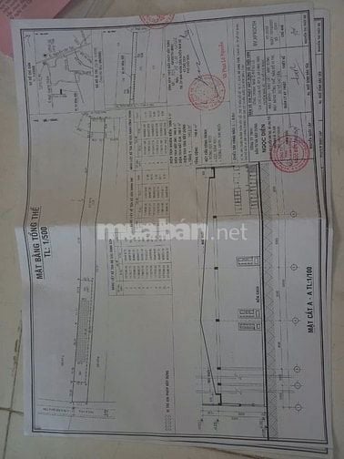 Bán 1100 m2 đât đường Xương cá Long Thới Nhà Bè giá 9,5 tỷ 