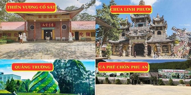 Tour Tết Đà Lạt - Thung Lũng các vị Thần 3N3Đ