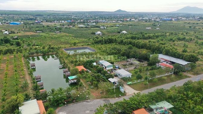 Cần cho thuê 20.000m2 đất trong Khu Công Nghiệp Hàm Kiệm, Bình Thuận