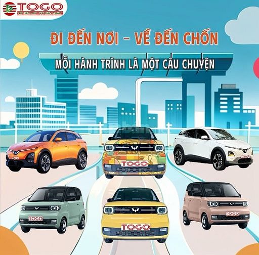 Tập đoàn TOGO cần tuyển nhiều Lái xe, Bác Tài dấu B2, dấu D