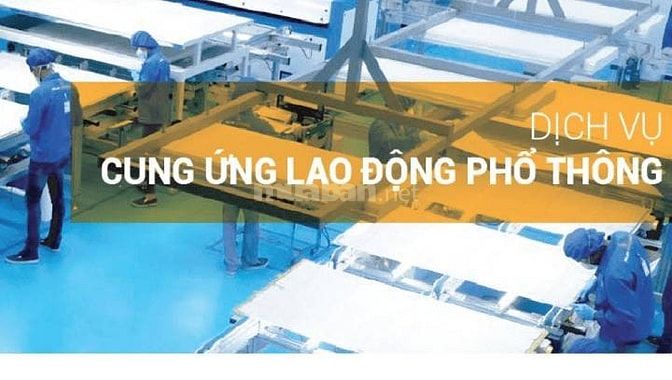 CUNG ỨNG LAO ĐỘNG PHỔ THÔNG TẠI HÀ NỘI 