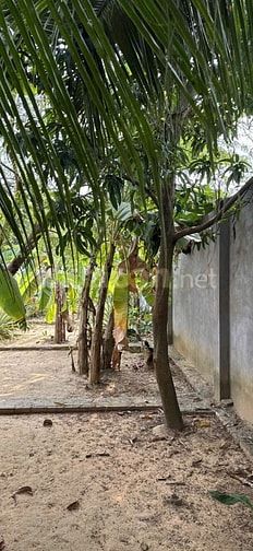 cần bán nhà biệt thự khu dân cư trường thạnh TP thủ đức