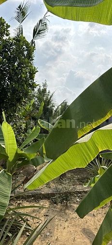 cần bán nhà biệt thự khu dân cư trường thạnh TP thủ đức