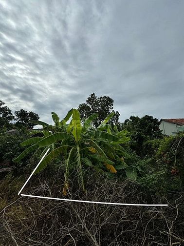 Bán đất full thổ cư xã An Thạnh, ngay khu đô thị Water point Nam Long