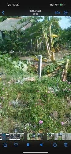 Bán đất full thổ cư xã An Thạnh, ngay khu đô thị Water point Nam Long
