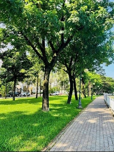 Biệt thự đẹp khu VIP Cityland Quận 7. Ngang 10 m, hàm, thang máy. 49ỷ.