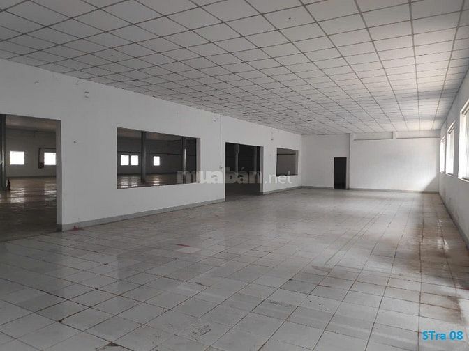 Cho Thuê Nhà Xưởng và Văn Phòng Diện Tích 2.600M2 Đường Phan Huy Ích G