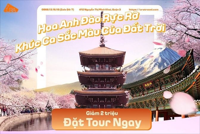 Tour Hoa Anh Đào Nở Rộ cùng Ura Travel