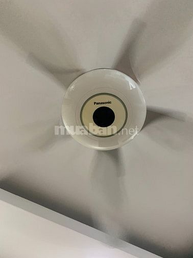 Chothuê  AnBìnhCity 3N+2WC; Ôgóc,Viewđẹp;N.Thất tốt;16tr; nhận nhà 1/3