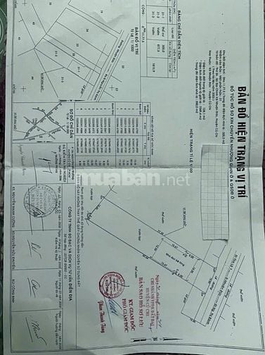 Bán biệt thự mặt tiền đường đỗ đăng tuyển