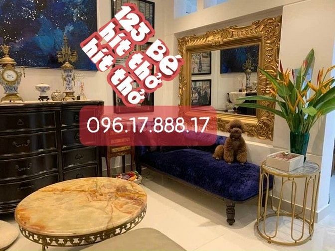 (NHÀ BÁN Q3 53m2) LÊ VĂN SỸ - PHÙ HỢP MUA Ở - KHU DÂN TRÍ 