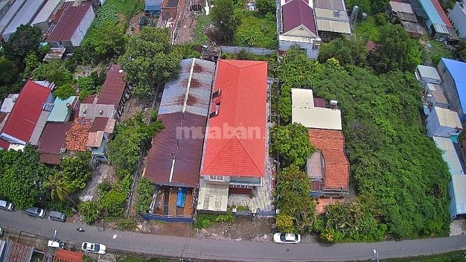 Cần bán 560m nhà xưởng và đất trống, khu Việt Kiều, Tân Thông Hội