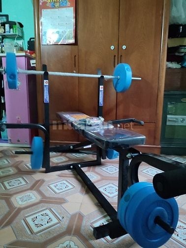 bán ghế tập tạ , ghế tập gym giá tại nhà giá rẻ 