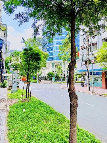 ❇️❇️❇️ Cho Thuê Toà Nhà: 27-29 Nam Kỳ Khởi Nghĩa - Quận 1 ( 8.2x26m )