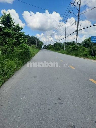 Cho thuê nhà MT Nguyễn Văn Khạ DTSD 200m vườn 500m