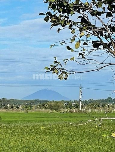 Cần bán lô đất thích hợp làm nhà vườn hoặc kho bãi 