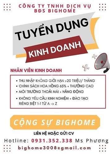 Công Ty Big Home tuyển 10 nhân viên sale mảng cho thuê nhà phố