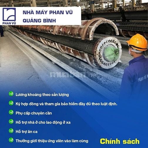 CẦN 50 CÔNG NHÂN SẢN XUẤT-QUẢNG TRẠCH, QUẢNG BÌNH