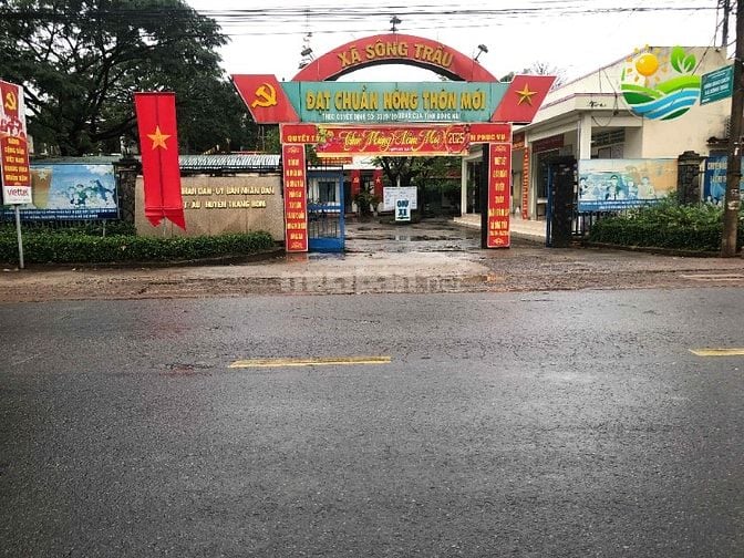 118 m2 đất ở, XDTD, 1/ Nguyễn Hoàng, Sông Trầu, Trảng Bom