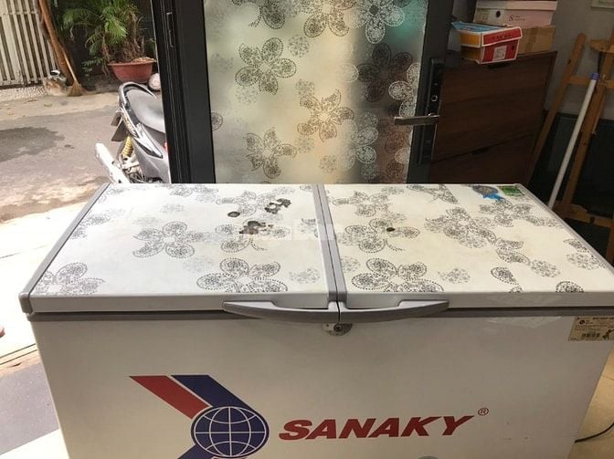 Tủ Đông Sanaky Inverte 360l Tân Phú 