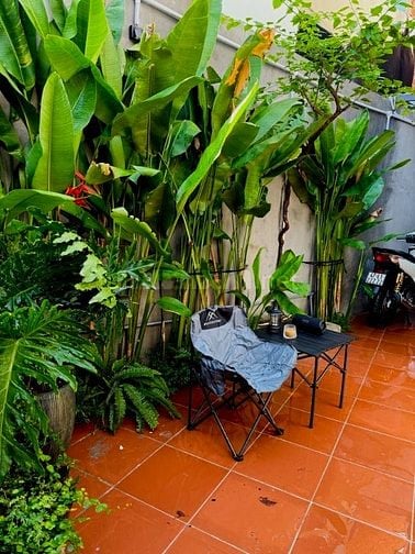 Cần bán căn Homestay Nguyễn Khoái P2 quận 4.