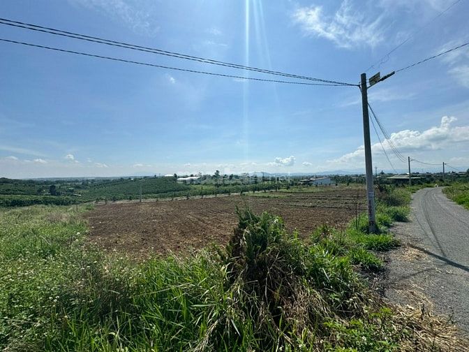 Công ty Đấu giá hợp danh Lam Sơn Sài Gòn THÔNG BÁO ĐẤU GIÁ TÀI SẢN