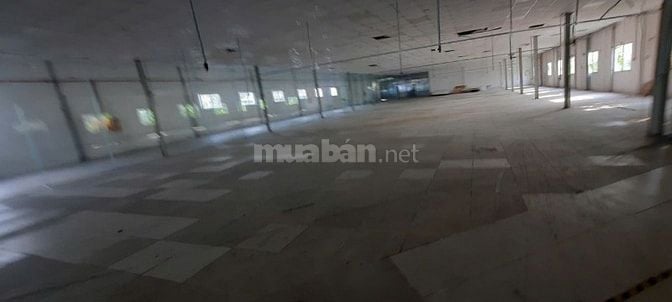 Cho thuê kho xưởng Trịnh Như Khuê, Bình Chánh, KV: 3.100m2,xd: 2.600m2