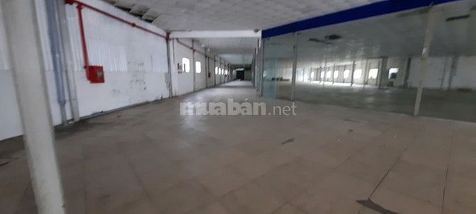 Cho thuê kho xưởng Trịnh Như Khuê, Bình Chánh, KV: 3.100m2,xd: 2.600m2