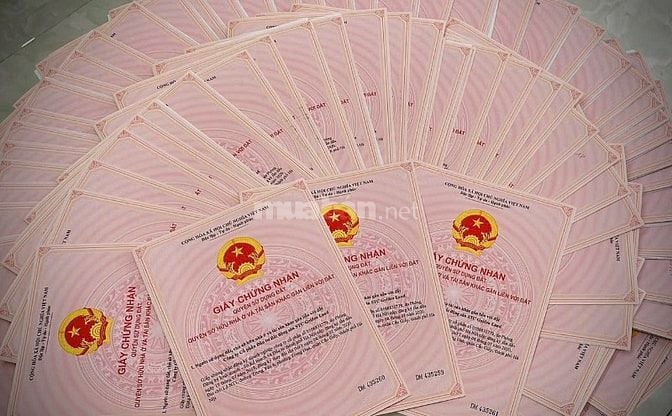 CẦN BÁN GẤP ĐẤT LONG THÀNH – KHU ĐÔ THỊ CHECK IN LÝ TƯỞNG MỚI 