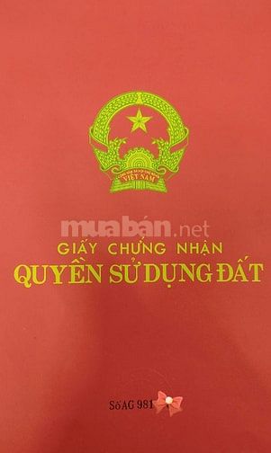 Nhà hẻm 1/ Trần Đình Xu Quận 1, Pháp lý rõ ràng, Giá rẽ