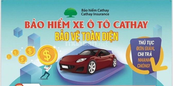 bảo hiểm xe, y tế, sức khoẻ, cháy nổ, hàng hoá, nhân thọ