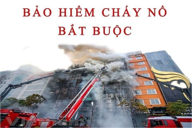 bảo hiểm xe, y tế, sức khoẻ, cháy nổ, hàng hoá, nhân thọ