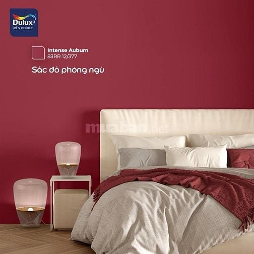 Sơn trang trí dulux trong và ngoài nhà