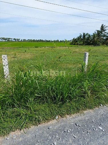 Bán đất tại Nguyễn Thìn, Tân Điền, Gò Công Đông, Tiền Giang, 7,2 tỷ