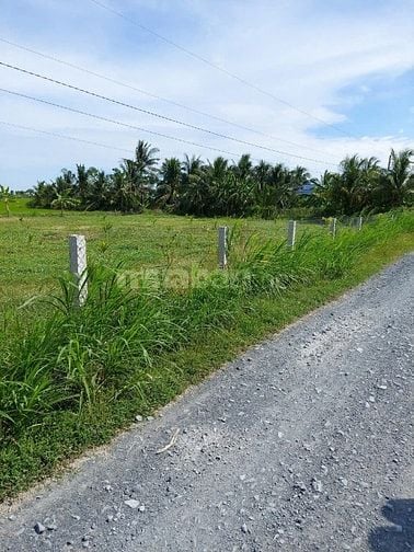 Bán đất tại Nguyễn Thìn, Tân Điền, Gò Công Đông, Tiền Giang, 7,2 tỷ