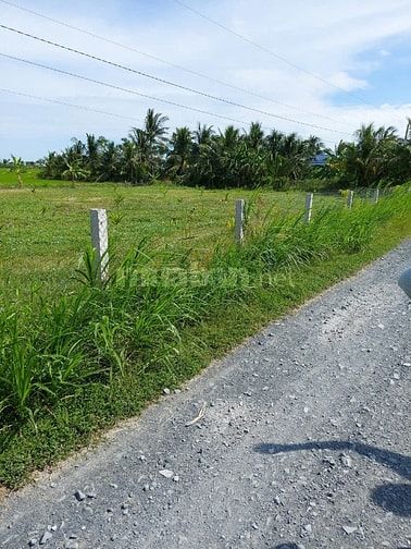 Bán đất tại Nguyễn Thìn, Tân Điền, Gò Công Đông, Tiền Giang, 7,2 tỷ