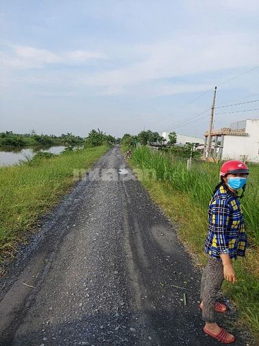 Bán đất tại Nguyễn Thìn, Tân Điền, Gò Công Đông, Tiền Giang, 7,2 tỷ