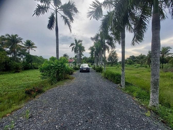 Bán đất tại Trường Lưu, 120 tỷ, 10.650 m2, giá siêu hời, view đẹp, Q9.