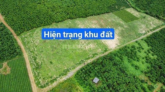 [Sỉ- lẻ đất rất là đẹp] 12 đồng bánh chưng lô đất cao cấp ngay Đambri 