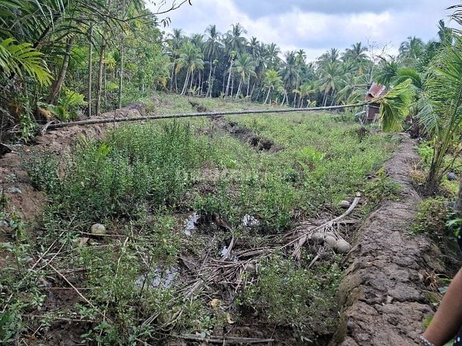 Bán đất Thị Trấn Phước Mỹ Trung Gần chợ ba vát cách 800m lộ hoa lâm