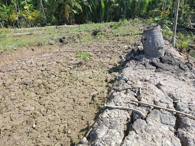 Bán đất Thị Trấn Phước Mỹ Trung Gần chợ ba vát cách 800m lộ hoa lâm