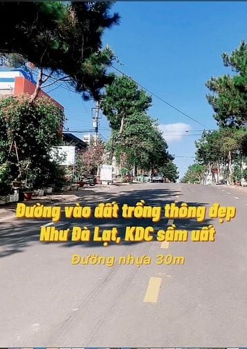 Chính chủ bán gấp lô đất MT ODT full thổ cư gần sân bay giá rẻ