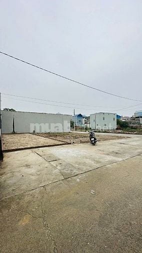 Bán đất đấu giá X5 Lương Quy, Xuân Nộn , Đông Anh, 77 triệu/m2