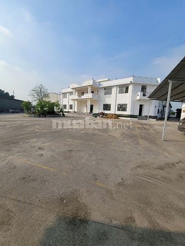 Cho thuê xưởng 11.000m2 đường Nguyễn Cửu Phú, Bình Tân 