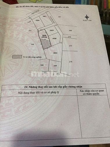 Bán quán cà phê mặt tiền Bạch đằng P7 giảm sốc 50ty