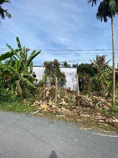 Chính chủ cần bán miếng đất 551m Có sẵn nhà và 200m thổ cư