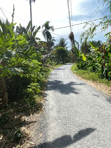 Chính chủ cần bán miếng đất 551m Có sẵn nhà và 200m thổ cư
