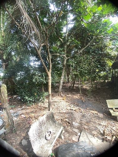 Chính chủ cần bán miếng đất 551m Có sẵn nhà và 200m thổ cư