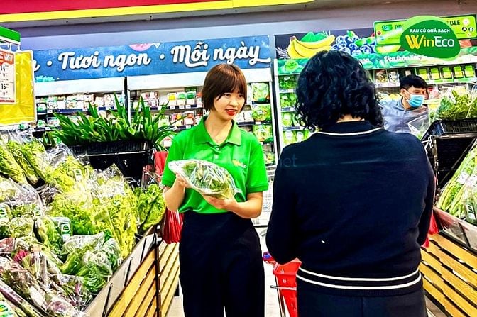 Hệ Thống WinMart Cần Tuyển N.Viên Trực Quầy, Thu Ngân, Tạp Vụ, Bảo Vệ